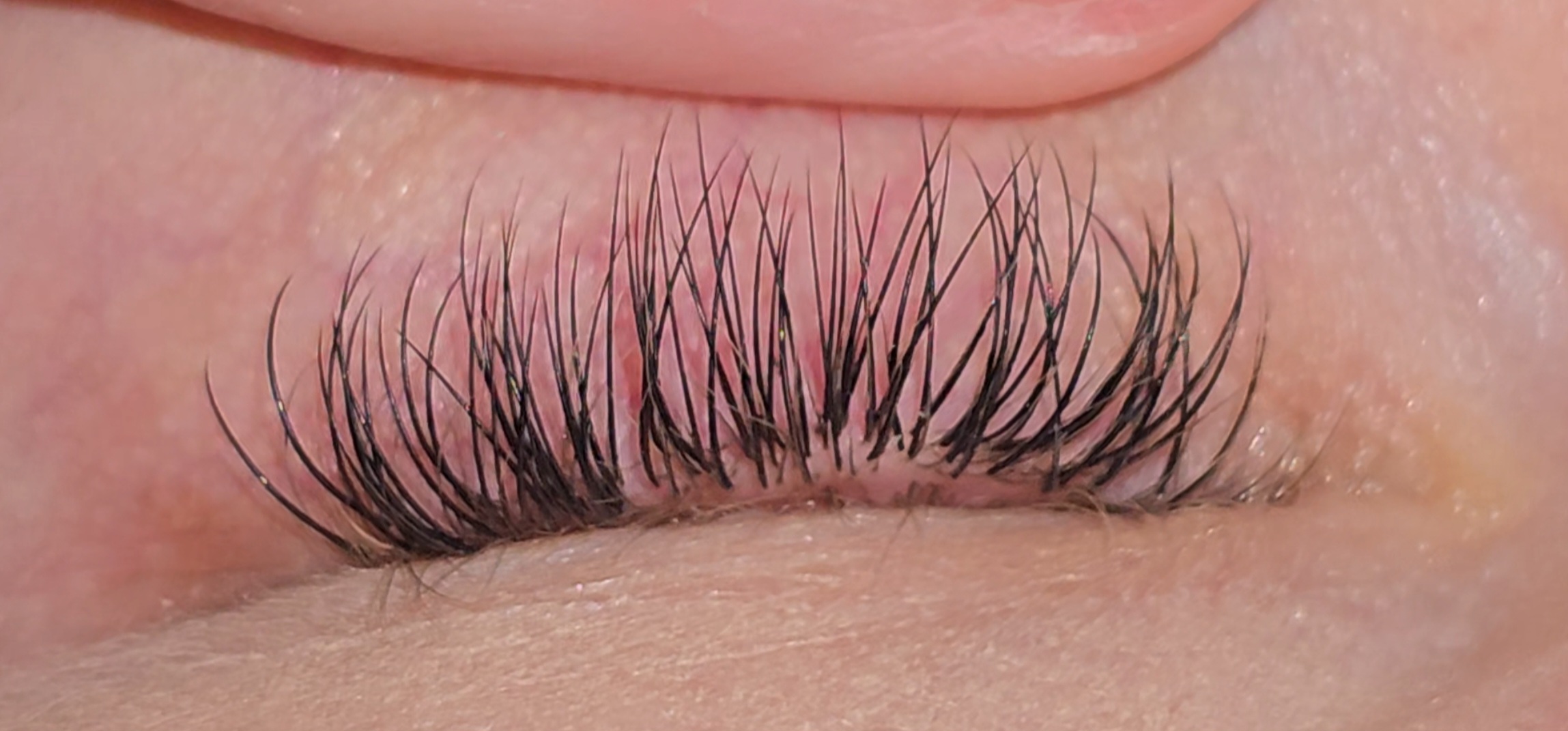 Hallie Pierce work